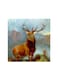 Animal Mdf Wall Art Multicolour 30x30cm