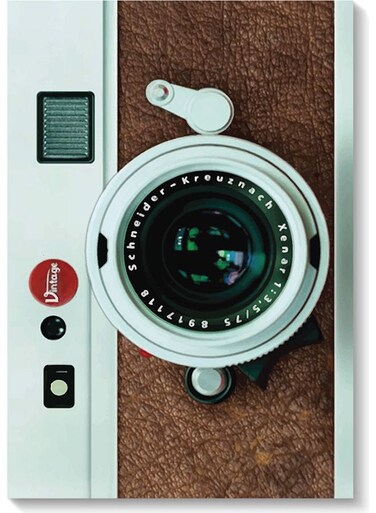 Camera Wall Art Multicolour 40x60cm