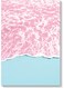 Beach Wall Art Multicolour 40x60cm