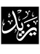 Yazed Printed Wall Art Black/White 30x30cm