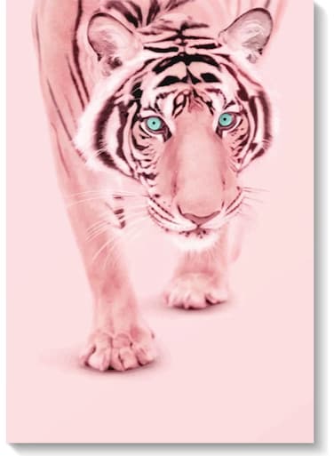 Tiger Wall Art Multicolour 40x60cm