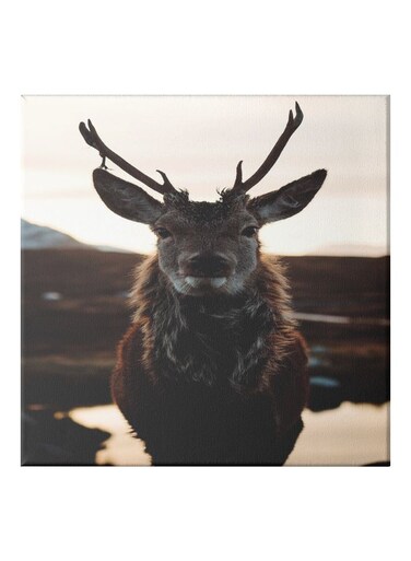 Deer Theme Hidden Framed Canvas Wall Art Painting Brown/Black/Yellow 30x30cm