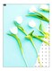 Printed Decorative Wall Art Plate Multicolour 20cm