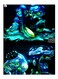 Printed Decorative Wall Art Plate Multicolour 20cm