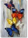 Butterflies Wall Art Multicolour 40x60cm