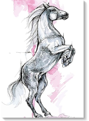 Arabian Horse Wall Art multicolour 40x60cm