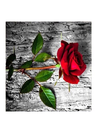 Red Flower MDF Wall Art Red/Green/Silver 30x30cm