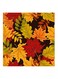Painting Leaves MDF Wall Art Multicolour