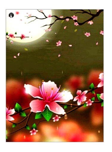 Printed Decorative Wall Art Plate Multicolour 20cm
