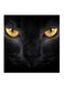 Cat Themed Printed MDF Wall Art Black/Yellow 30x0.5x30cm