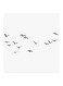 Birds Freedom MDF Wall Art Black/White