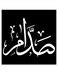 Saddam Wooden MDF Wall Art multicolour 30x30cm