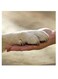 Animals Lovers Themed Wall Art Beige 30x30cm