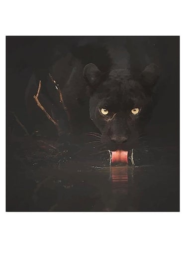 Jaguar Themed Wall Art Black/Yellow/Red 30x30cm