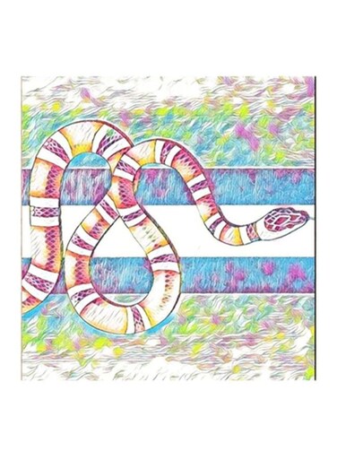Snake MDF Wall Art Multicolour 30x30centimeter
