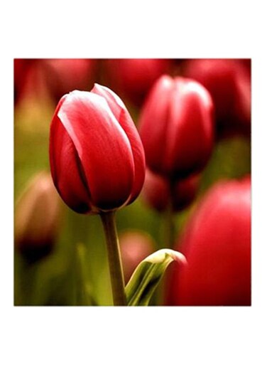 Tulip Flowers MDF Wall Art Red/Green