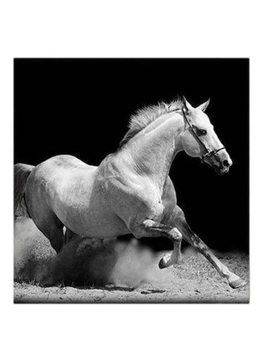White Horse MDF Wall Art White/Black