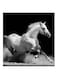 White Horse MDF Wall Art White/Black