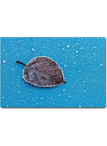 Tree Leaves Snow Wall Art Blue/Brown 40x60cm
