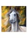 White Horse Abstract MDF Wall Art Multicolour