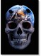 Skull Earth Themed Wall Art Painting Multicolour 40x60cm
