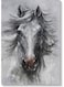 Arabian Horse Wall Art multicolour 40x60cm