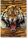 Tiger Wall Art Multicolour 40x60cm