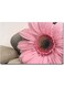 Flower Printed Wall Art Multicolour 40x60cm