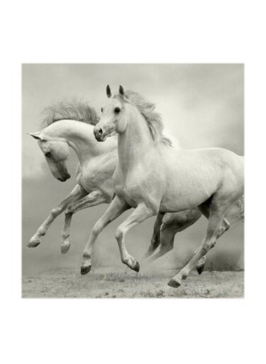 White Horses MDF Wall Art Multicolour 30x30centimeter