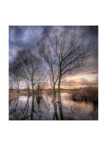 The Sunset Tree MDF Wall Art Multicolour 30x30centimeter
