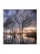 The Sunset Tree MDF Wall Art Multicolour 30x30centimeter