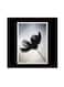 Nature Themed Wall Art Black/White/Grey 30x30centimeter