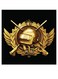 PUBG Game Themed Wall Art Black/Gold 30x30cm
