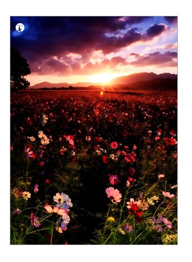 Printed Decorative Wall Art Plate Multicolour 20cm