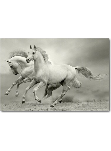 White Horses Printed Wall Art Grey 40x60cm