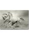 White Horses Printed Wall Art Grey 40x60cm