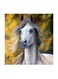 White Horse Abstract MDF Wall Art Multicolour 30x30cm