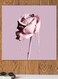 Flowers Printed Wall Art Pink 30x30cm