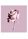 Flowers Printed Wall Art Pink 30x30cm