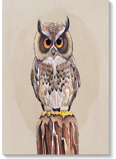 Owl Printed Wall Art Beige/Brown 40x60cm