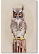 Owl Printed Wall Art Beige/Brown 40x60cm