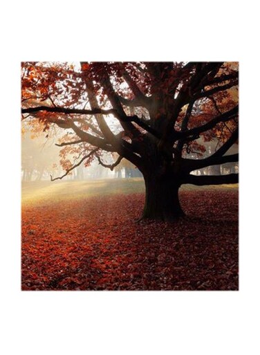 Nature MDF Wall Art Multicolour 30x30centimeter
