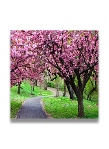 Decorative MDF Wall Art Painting Multicolour 30 x 30cm
