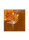 Islamic Wa Huwa Ala Kulli Shay'In Qadeer Mdf Wall Art Multicolour 30x30centimeter