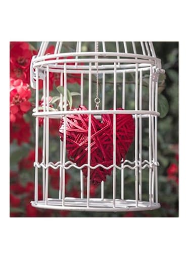 Love Cage MDF Wall Art Red/White/Green