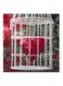 Love Cage MDF Wall Art Red/White/Green