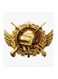 Pubg MDF Wall Art Painting White/Gold 30 x 5 x 30cm