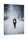 Walking On Ice Printed Framed Canvas Wall Art White/Black 60x80centimeter