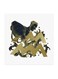 Aquarius Sign MDF Wall Art Multicolour 30x30centimeter