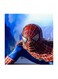 Spider Man MDF Wall Art Multicolour 30x30cm